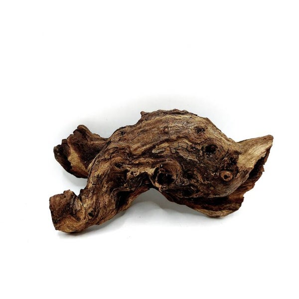 Mopani Wurzel (MVD 29), ca. 15 x 8 x 5 cm