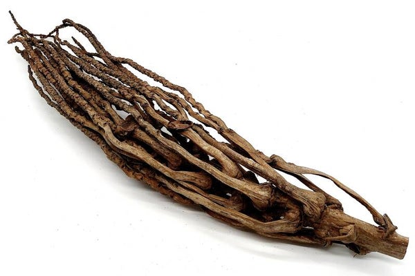 Kokosrispe (KOKO 3), ca. 66 cm