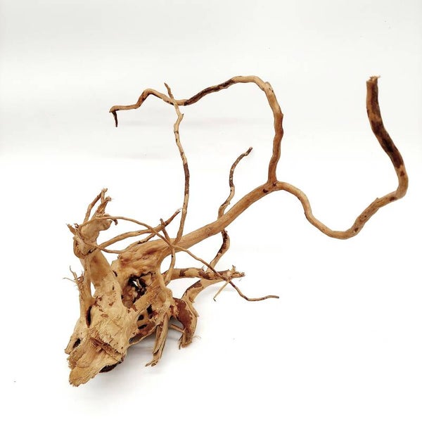 Moorwurzel (MOWU 3), ca. 32 x 30 x 19 cm