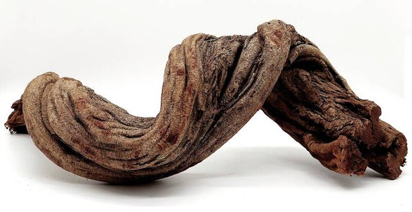 Cipo Rosca Liane (CRL 3), ca. 49 x 18 x 18 cm