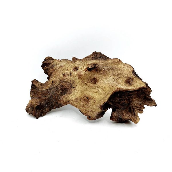Mopani Wurzel (MVD 33), ca. 16 x 10 x 5 cm