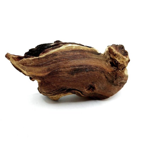 Mopani Wurzel (MVD 34), ca. 12 x 6 x 5 cm