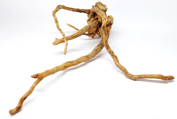 AX 36, ca. 21 x 19 x 8 cm