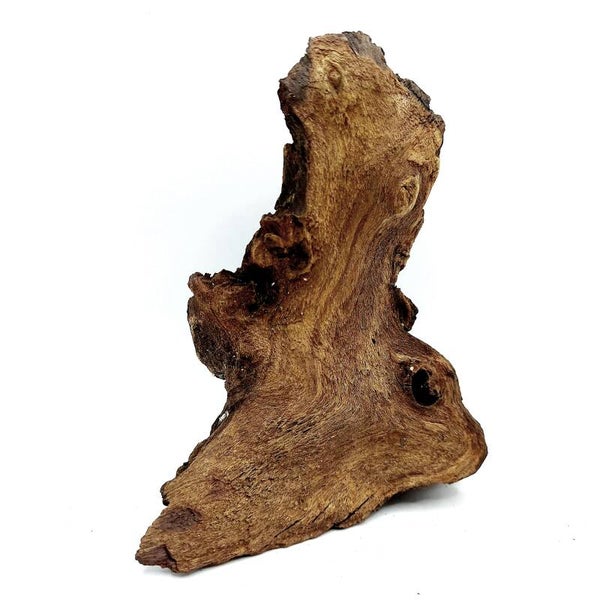 Mopani Wurzel (MVD 36), ca. 14 x 11 x 6 cm