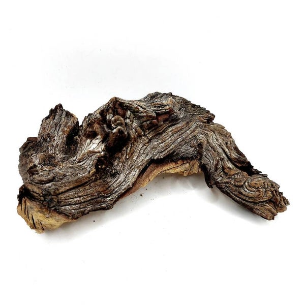 Mopani Wurzel (MVD 37), ca. 15 x 8 x 6 cm