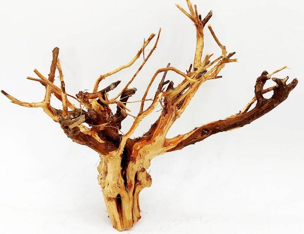 Etosha Tree (ET 4), ca. 15 x 19 x 9 cm (H/B/T)