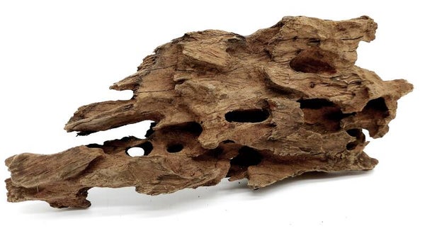 Drachenholz (NDH 4), ca. 24 x 10 x 4 cm