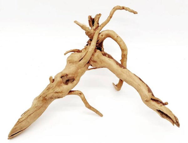 Moorwurzel - Spiderwood (SKB 4), ca. 27 x 21 x 11 cm