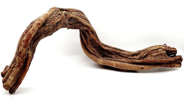 Cipo Rosca Liane (CRL 4), ca. 50 x 30 x 19 cm