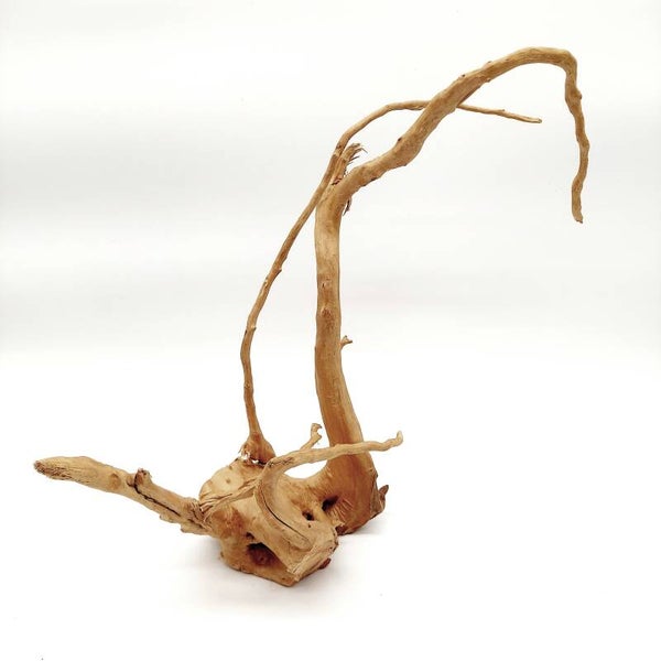 Moorwurzel (MOWU 4), ca. 35 x 33 x 14 cm