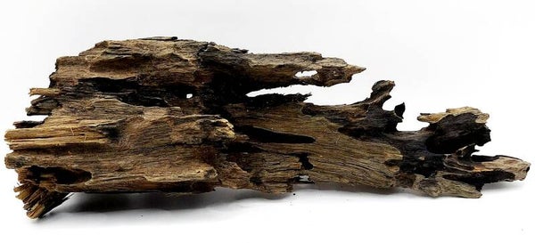 Drachenholz (HMA 4), ca. 30 x 10 x 7 cm