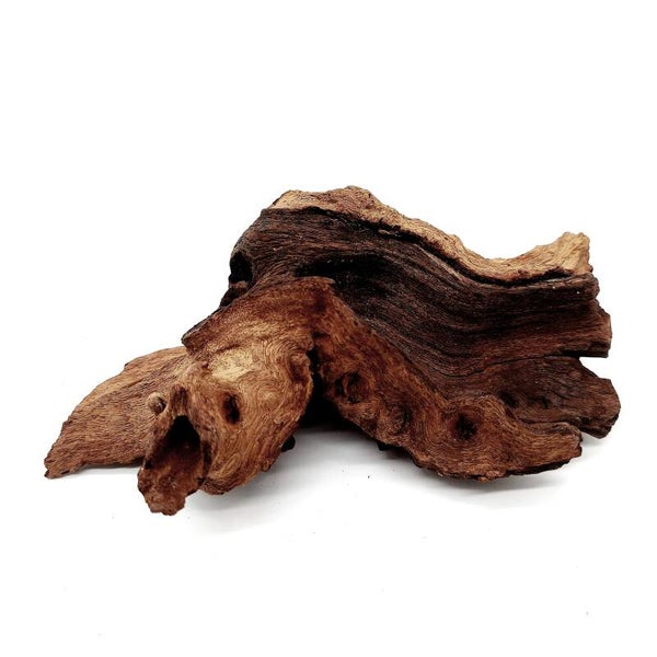 Mopani Wurzel (MVD 43), ca. 16 x 9 x 6 cm