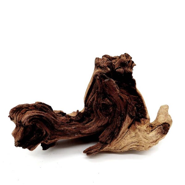 Mopani Wurzel (MVD 45), ca. 15 x 10 x 7 cm