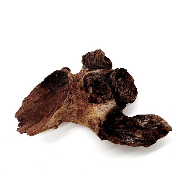 Mopani Wurzel (MVD 48), ca. 12 x 8 x 4 cm