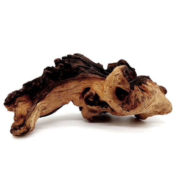 Mopani Wurzel (MVD 49), ca. 13 x 6 x 6 cm
