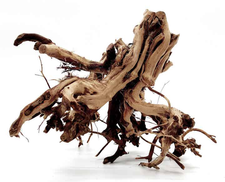 Etosha Tree (ATE 5), ca. 19 x 22 x 18 cm