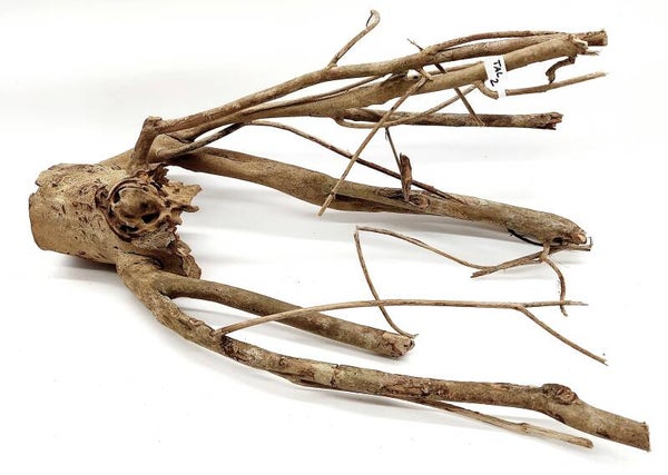 Talawa (TAL 2), ca. 52 x 28 x 23 cm