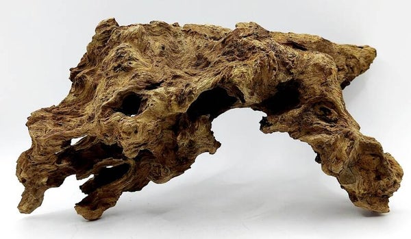 Drachenholz (HMA 5), ca. 28 x 17 x 13 cm