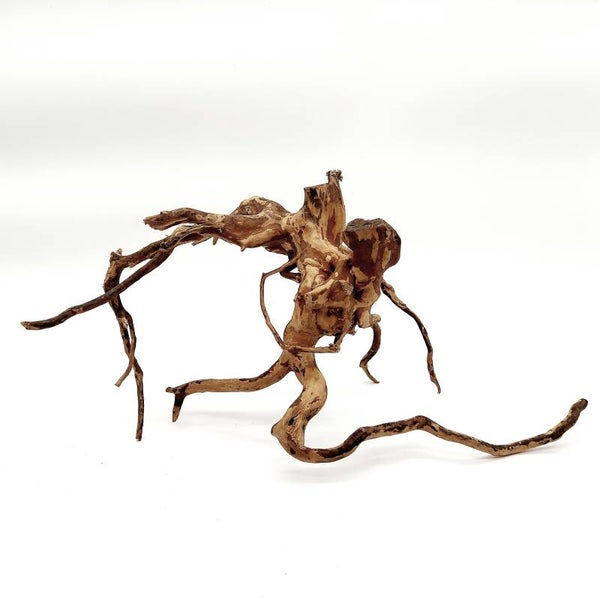 Moorwurzel (MOWU 5), ca. 44 x 24 x 15 cm