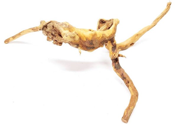 AX 53, ca. 21 x 16 x 7 cm