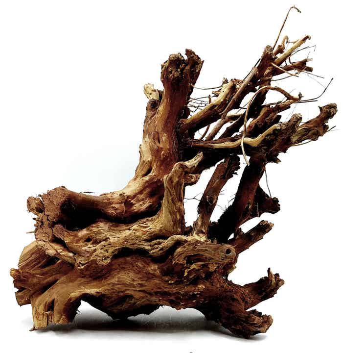 Etosha Tree (ETO 6), ca. 22 x 15 x 10 cm