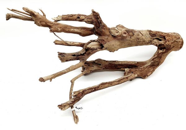 Talawa (TAL 4), ca. 52 x 28 x 17 cm