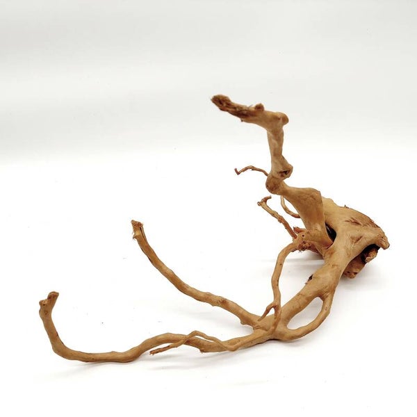 Moorwurzel (MOWU 6), ca. 37 x 26 x 15 cm