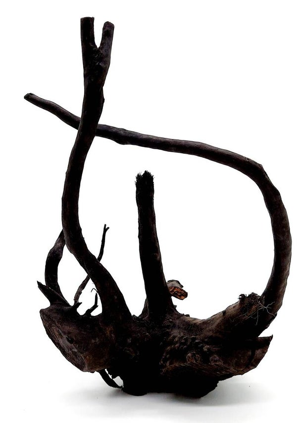 Spiderwood "Black" (BMR 6), ca. 20 x 16 x 8 cm