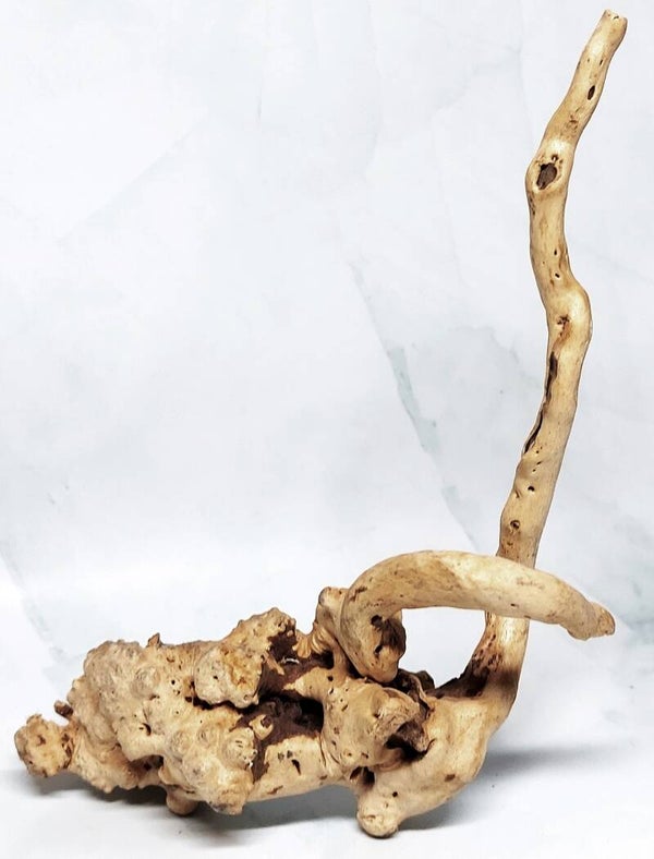 AC 6, ca. 15 x 7 x 5 cm