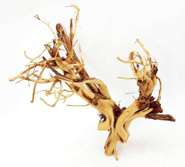 Etosha Tree (ET 7), ca. 17 x 19 x 14 cm (H/B/T)