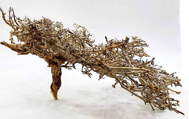 GBKR 7, Fächer Bäumchen, ca. 13 x 40 x 38 cm