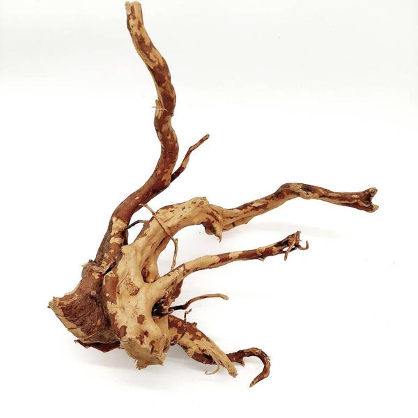 Moorwurzel (MOWU 8), ca. 28 x 28 x 17 cm