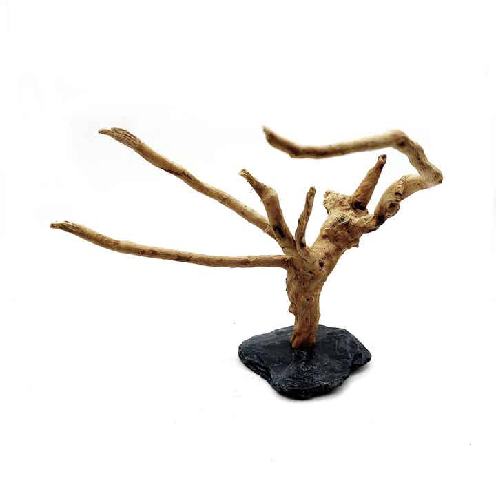 Wurzel auf Schiefer (WL 8), ca. 14 x 19 x 14 cm