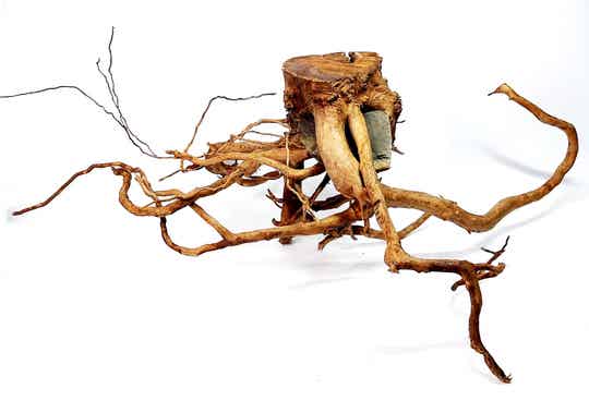 Große Moorwurzel (TSW 4), ca. 65 x 40 x 25 cm