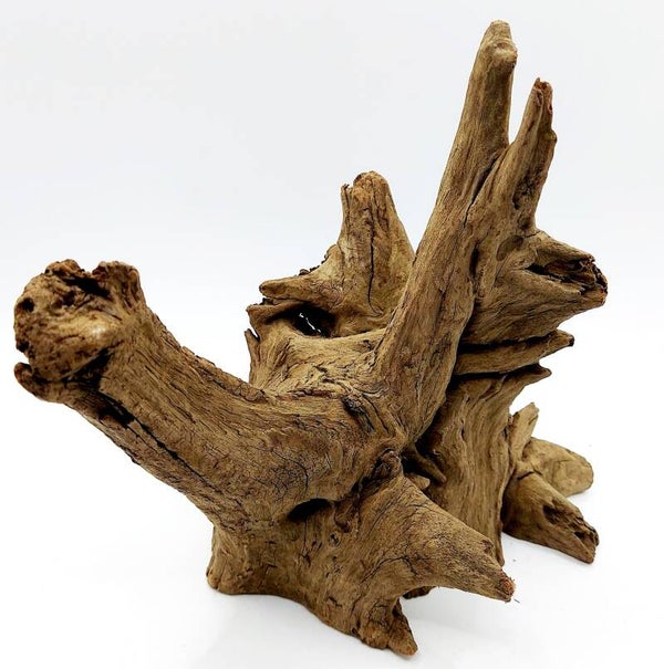 Corbo Root (SNW 9), ca. 20 x 21 x 19 cm