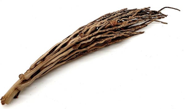 Kokosrispe (KOKO 9), ca. 57 cm