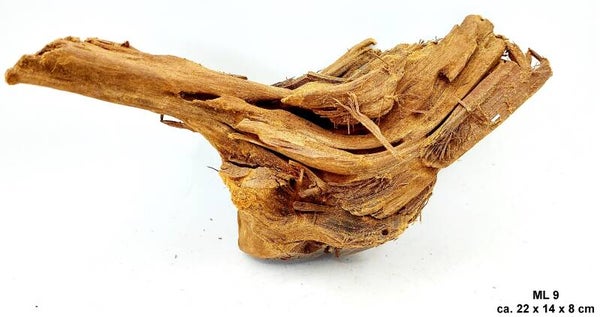 Mangrove, Größe M (ML 9)