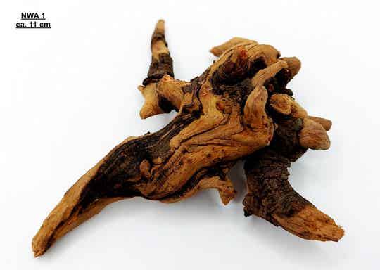 Nano Wurzeln mit Auswahl (NWA)