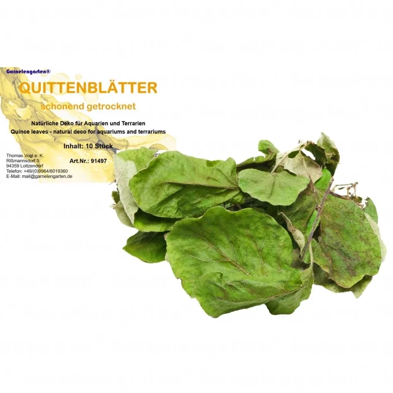 Garnelengarten® Quittenblätter 10 Stück