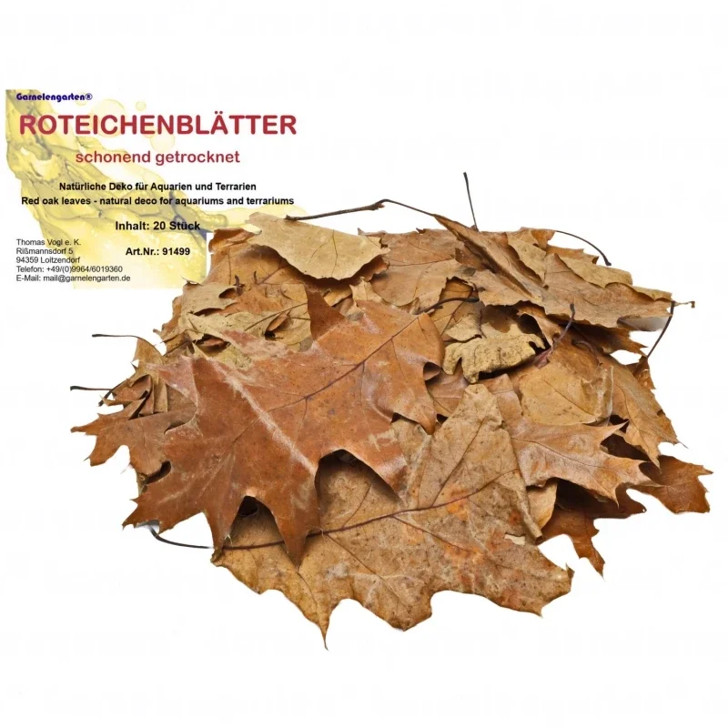 Garnelengarten® Roteichenblätter 20 Stück