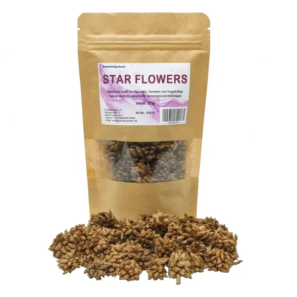 Garnelengarten® Star Flowers