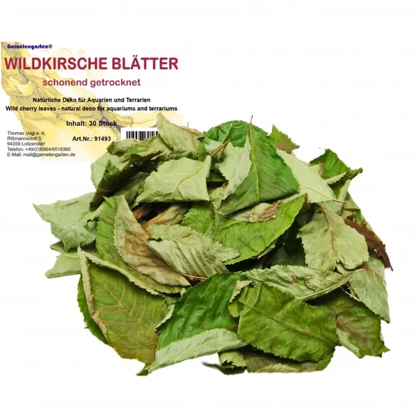 Garnelengarten® Wildkirsche Blätter 30 Stück
