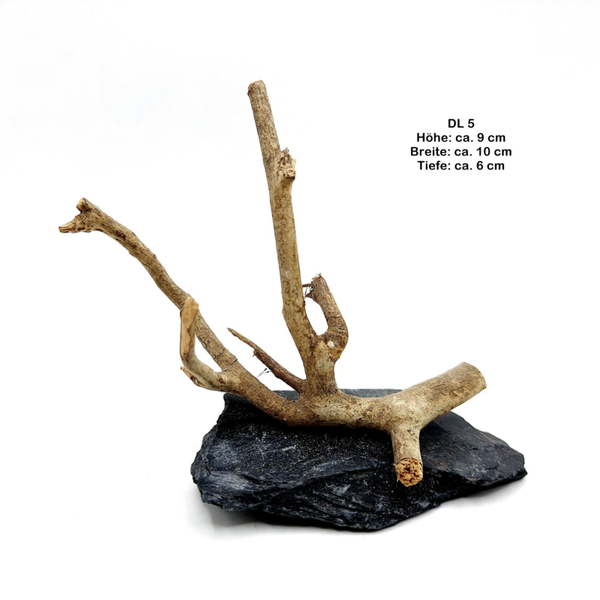 Ast auf Schiefer (DL 5) zum Bepflanzen - Größe S