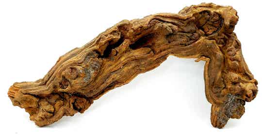 Savannenwurzel (RVS 56), ca. 27 x 14 x 5 cm