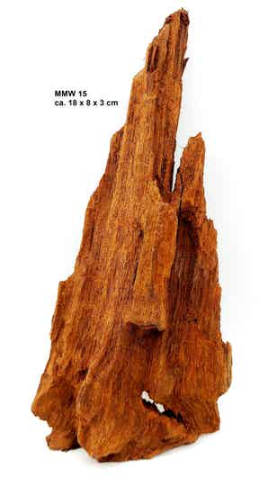 Mangroven - nano - mit Auswahl (MMW)