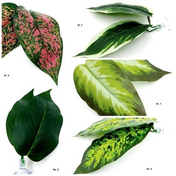 Betta Blatt - groß - verschiedene Farben