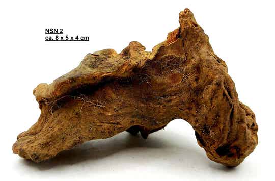 Verschiedene Savannen Wurzeln nano (NSN)