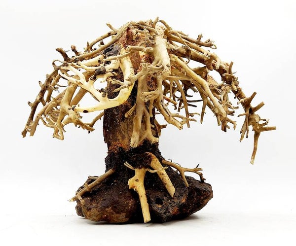 Weeping Willow - Trauerweide (WW 2), ca. 16 x 23 x 13 cm