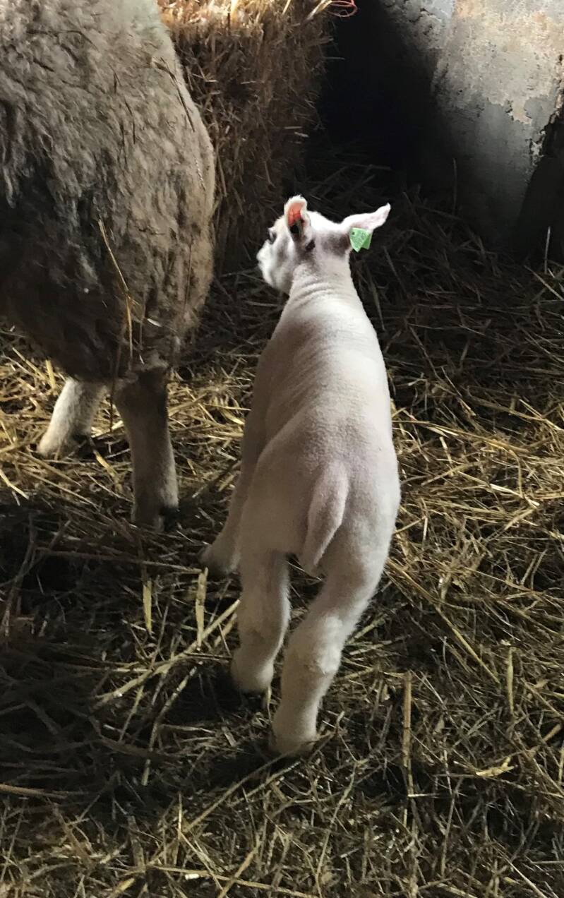 Enter ramlam: 06140.