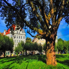 borsigplatz-1-_1600-standard.jpg